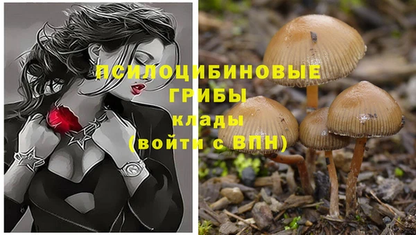 кокаин премиум Армянск