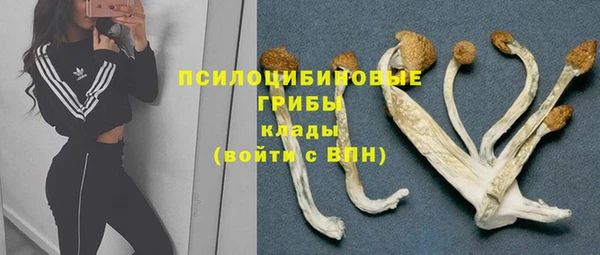 мдпв Арсеньев