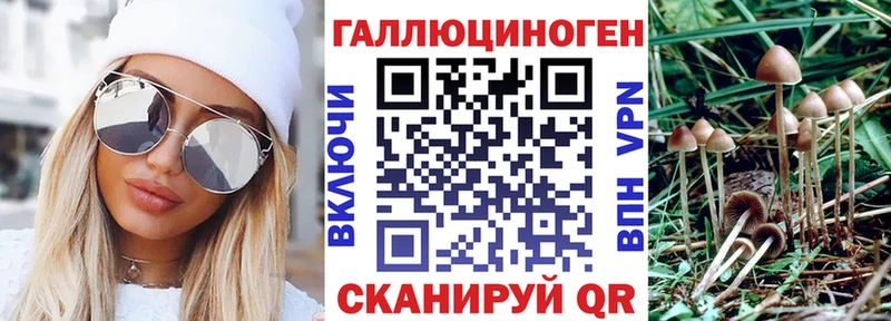 MEGA как войти Куйбышев Галлюциногенные грибы прущие грибы
